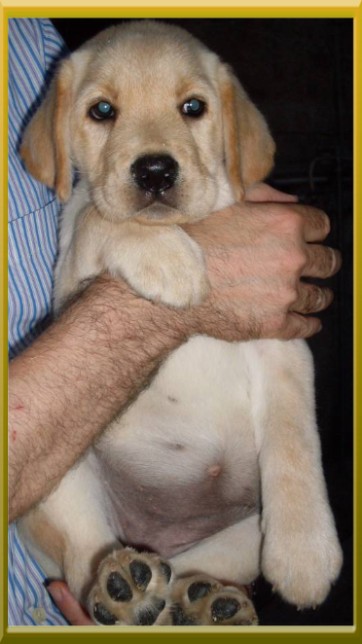 Belle(Riservata)